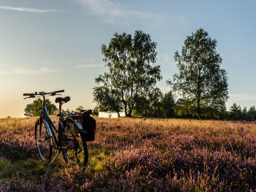 3 Tage Kurzurlaub in der Südheide: Natur, Ruhe und Genuss im charmanten Biohotel Wildland