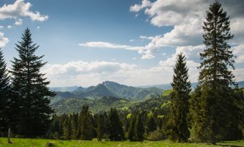 3 Tage Kurzreise nach Seefeld in Tirol und im Hotel Hocheder übernachten