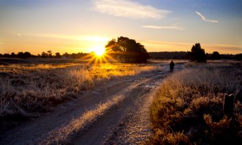 2 Tage Singleurlaub im 4* Eurostrand Resort Lüneburger Heide inkl. Wellness