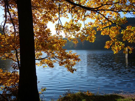 3 Tage Kurzurlaub in Ennepetal im südlichen Ruhrgebiet im gemütlichen Hotel