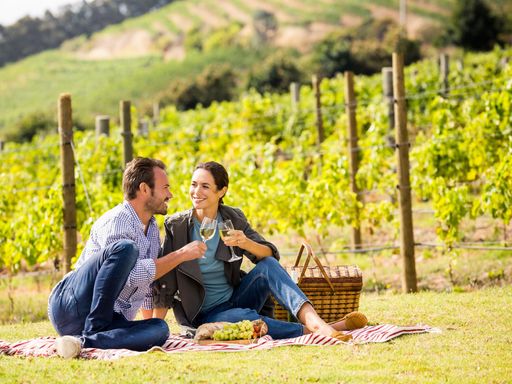 2 Tage bei einer Kurzreise nach Bahlingen am Kaiserstuhl im 3-Sterne-Superior Hotel erholen