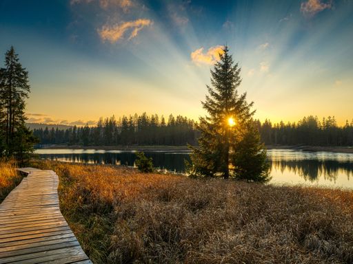 4 Tage Entdeckertour durch die Lewitz