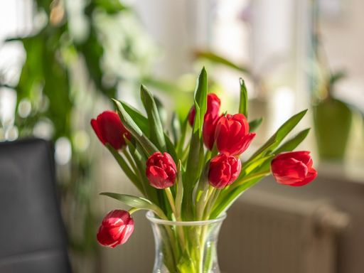 Kultur in Regensburg erleben