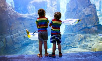 Wildlife Safari - Zoo & Aquazoo Schmiding | 3 Tage