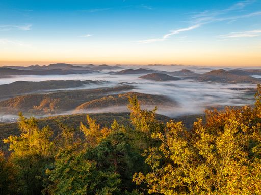 4 Tage Urlaub in der Pfalz im Limburgerhof Hotel & Residenz nahe Mannheim und Speyer