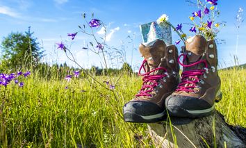 Aktive Naturauszeit in der Oberpfalz - 3 Tage