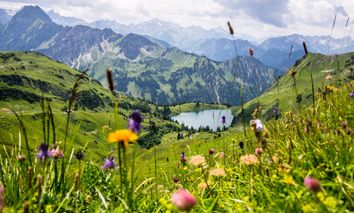 Bayerischer Wald für Individualisten inkl HP | 5 Tage