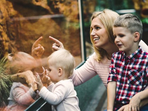 3 Tage Kurzurlaub für die ganze Familie in Dresden inkl. Tageskarte für den Zoo