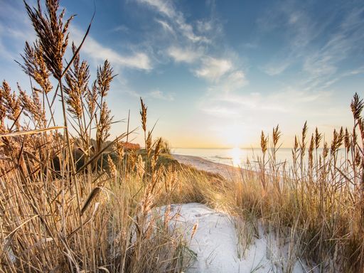 5 Tage Urlaub an der Ostsee inkl. HP plus