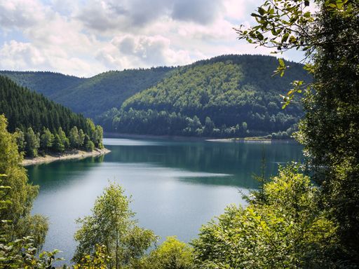 3 Tage Kurzurlaub im Thüringer Wald – Entspannung und Naturgenuss im Waldhotel Berghof