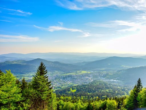 2 Tage den Bayerischen Wald entdecken und im Natur- & Aktiv-Hotel "Sattelbogener Hof" erholen