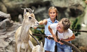 4 Tage den Leipziger Zoo bei einem Familienurlaub in Leipzig entdecken