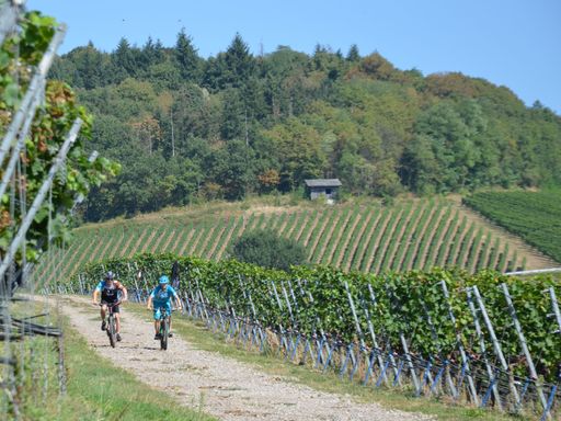 Radeln im Dreiländereck