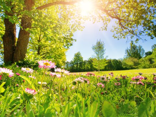 Premium All Inklusive Auszeit im Erzgebirge - 3 Tage