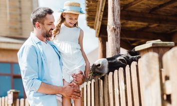 3 Tage Familienurlaub im Taunus-Gebirge & am Wochenende im herzlichen 3* Hotel Concorde übernachten