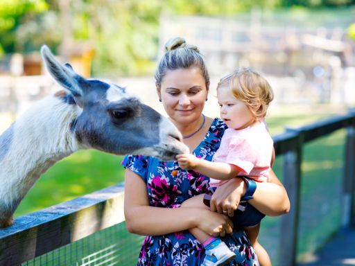 2 Tage Kurztrip für Familien ins Rhein-Main-Gebiet inkl. Zooeintritt in Darmstadt