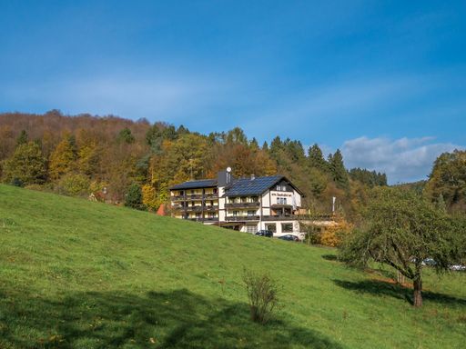 3 Tage Kurzurlaub im Odenwald und im 3-Sterne Hotel Gassbachtal erholen