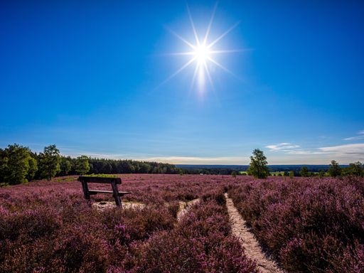 3 Tage Kurzurlaub in Buchholz: Entspannung und Genuss im Flair Hotel Zur Eiche