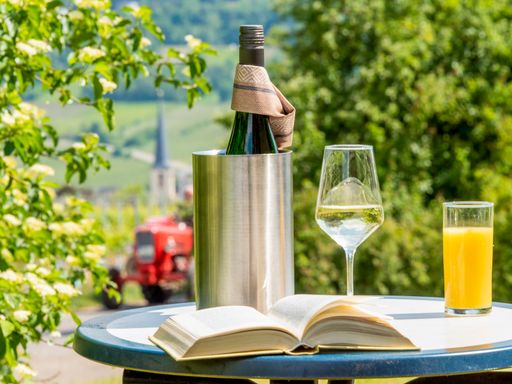 2 Tage Kurztrip ins 4* Eurostrand Resort Moseltal inkl. Wellness, Natur & Kultur