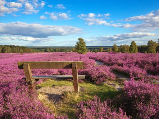 3 Tage Kurzurlaub im 4* Eurostrand Resort Lüneburger Heide: Naturwunder & aktive Erholung genießen