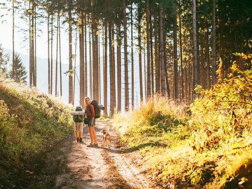 Wanderparadies St.Englmar im Bayerischen Wald |4 Tage