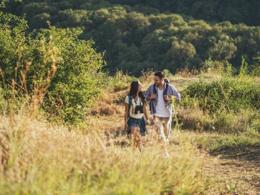 4 Tage Kurzurlaub in Thale im Nationalpark Harz und im Landhotel + Sauna übernachten