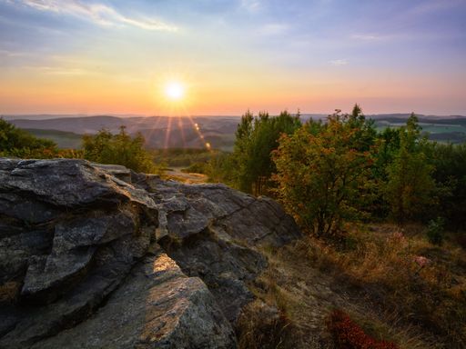 5 Seiffner Spartage zum Knaller Preis