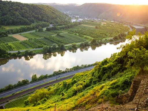5 Tage sanfte Flusslandschaften an der Mosel bei einem Urlaub in der Eifel