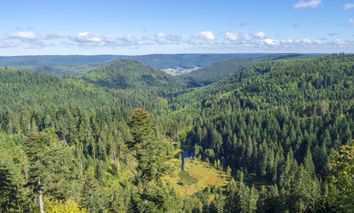 5 Tage Entdeckungsreise: Natur und Komfort im Schwarzwälder Hotel Lamm in Baiersbronn