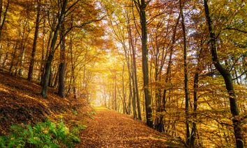 5 Tage Wanderurlaub im Bergischen Land genießen & im 4* mk | hotel Remscheid erholen