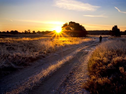 2 Tage Singleurlaub im 4* Eurostrand Resort Lüneburger Heide inkl. Wellness