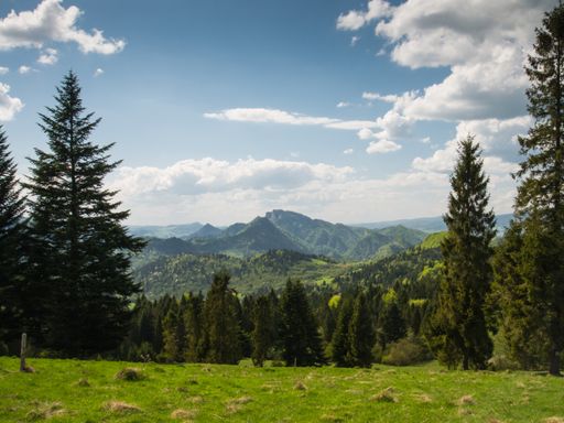 4 Tage bei einem Kurzurlaub in Seefeld in Tirol im Hotel Hocheder erholen