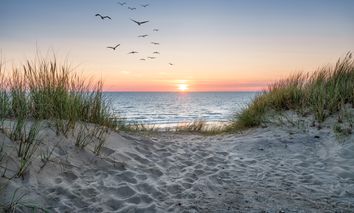 Wellness am Meer inkl. Halbpension