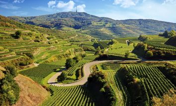 3 Tage Kurzurlaub in Bahlingen am Kaiserstuhl und im 3-Sterne-Superior Hotel übernachten