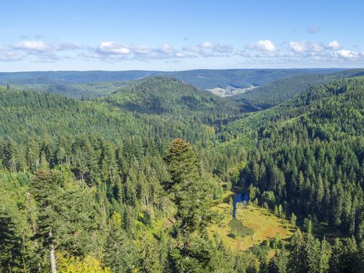 5 Tage Entdeckungsreise: Natur und Komfort im Schwarzwälder Hotel Lamm in Baiersbronn