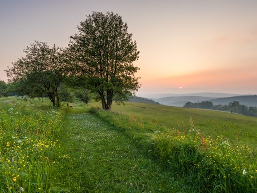 3 Tage Wellness- und Aktivurlaub zwischen Sauerland, Münsterland und dem Ruhrgebiet inkl. Frühstück genießen