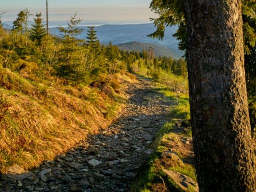 Hoamatgfui - 4 Tage Bayerischer Wald