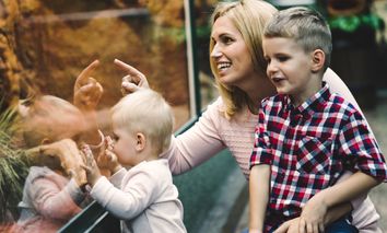 3 Tage Kurzurlaub für die ganze Familie in Dresden inkl. Tageskarte für den Zoo