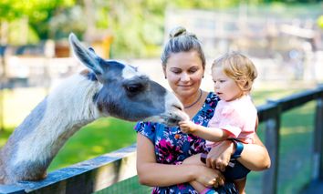 2 Tage Kurztrip für Familien ins Rhein-Main-Gebiet inkl. Zooeintritt in Darmstadt