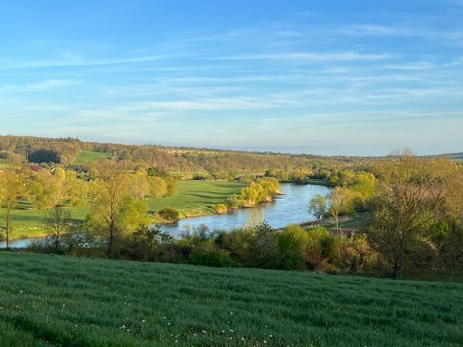 5 Tage Kurzurlaub im Weserbergland: Ruhe und Natur im Landhotel Weserblick
