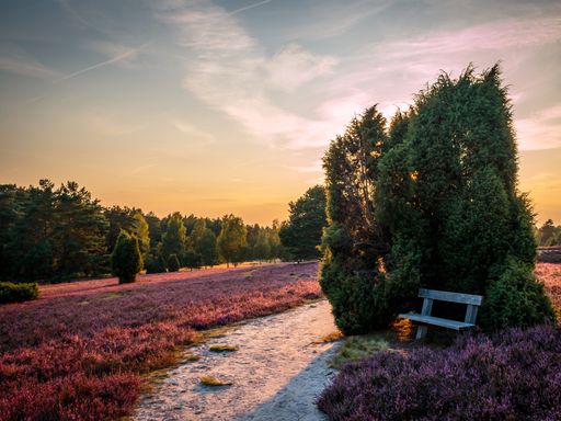 5 Tage Erholung pur in der Südheide: Entspannen und genießen im Biohotel Wildland