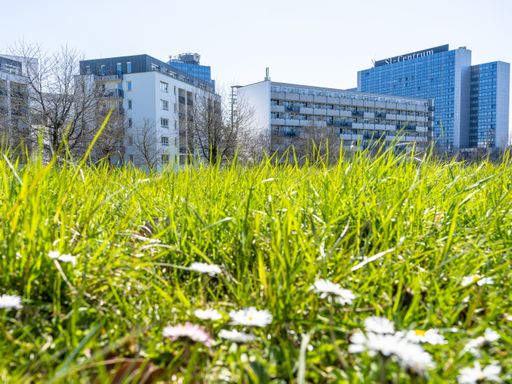 4 Tage Entspannte Gelassenheit zwischen Kultur und Entertainment in Stuttgart genießen