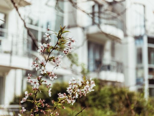 Auszeit vom Alltag in der Natur