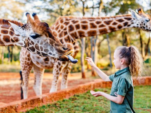 3 Tage Leipzig und den berühmten Zoo mit der ganzen Familie entdecken