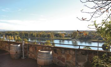 8 Tage Urlaub zwischen Schwarzwald und Elsass