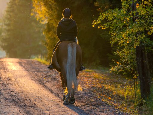 3 Tage Wellness im Resort Stein im tschechischen Westböhmen an der Grenze zu Bayern