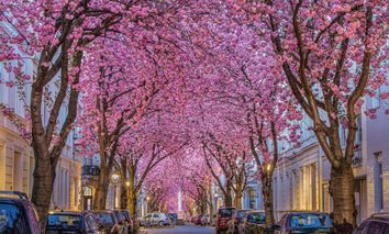 3 Tage aufregender Kurzurlaub in Bonn mit Aufenthalt im modernen tinyTwice Hotel