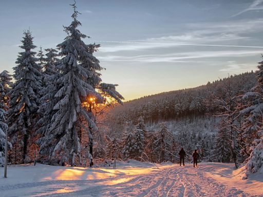 3 Tage Winterwandern am Rennsteig in Oberhof