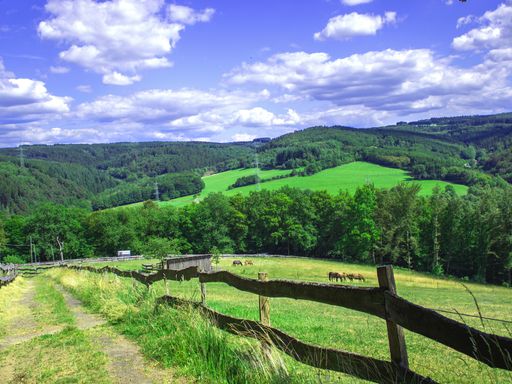 3 Tage Aktivurlaub im Herzen des Westerwaldes im herzlichen Sporthotel buchen