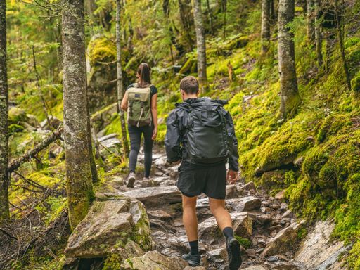 3 Tage im Oberpfälzer/Bayerischen Wald erleben